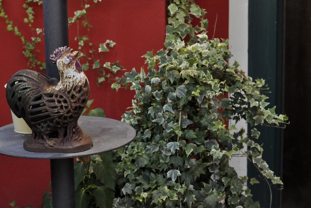 B&B Edera Castagnole Piemonte Экстерьер фото